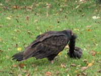 IMG_4927.JPG