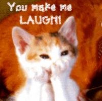 0%2520laugh%2520cat%252dpaws%252don%252dmouth1.jpg