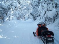 sled.jpg