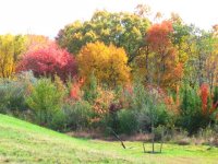 IMG_0410.JPG