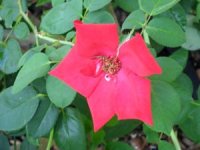 tn_Tuesday Morning 0041.JPG