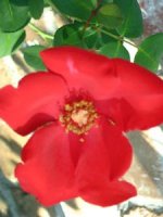tn_Tuesday Morning 0051.JPG