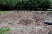 2006 garden_0008a.jpg