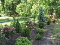 IMG_0098 SIDE GARDEN 1ST YEAR.jpg