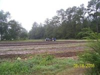 farm 001 garden.jpg