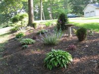 IMG_0109 FRONT.jpg