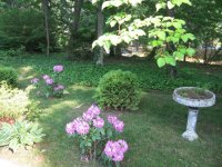 IMG_0123 EASTGARDEN.jpg