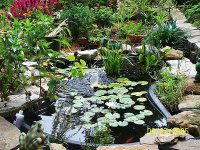 pond3.jpg