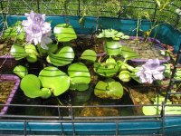 water feature.jpg