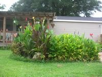 tn_DSCN4345.JPG