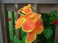 tn_DSCN4202.JPG