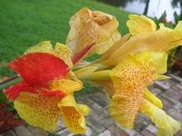 tn_DSCN4159.JPG