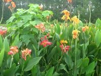 tn_DSCN4107.JPG