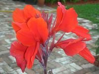 tn_DSCN4013.JPG