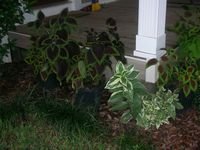 tn_DSCN4362.JPG