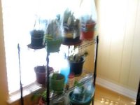 tn_My pics 036.JPG