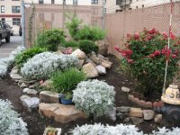 rock garden hamilton.jpg