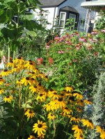 2 myfrontyard85 07.jpg