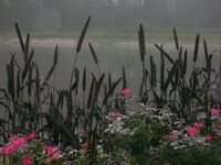 tn_DSCN4212.JPG