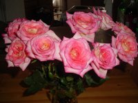 Mom's flowers 006.JPG
