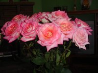 Mom's flowers 003.JPG