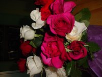 Mom's flowers 007.JPG