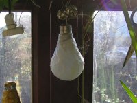 Unfinshed Light Bulb.jpg