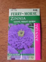 Zinnia 001.JPG