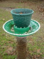 Bird bath 006.JPG