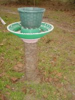 Bird bath 001.JPG