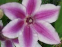 tn_the farm 047.JPG
