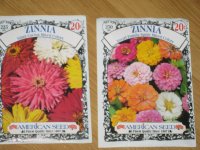 zinnias 002.jpg