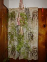 house plant 001.JPG