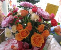 Vase cuttings feb 09..jpg