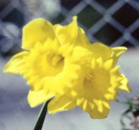 File0560a.jpg