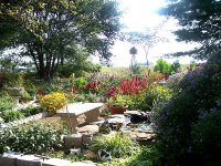 pond4.jpg