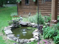 camp 011.jpg