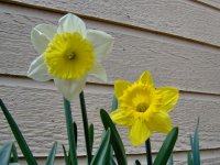 March 09 002.jpg