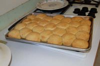 sourdough buttermilk biscuits_0006a.jpg