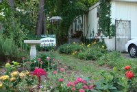 yard of the month.jpg