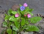 tn_5-9-08 037.jpg