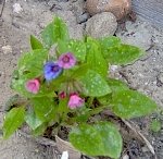 tn_5-9-08 038.jpg
