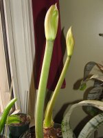 Picture 031.jpg