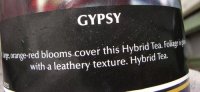 GYPSY09.jpg