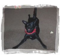 WinnieGoofie2.jpg