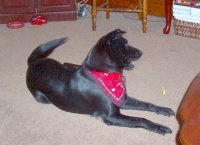 !cid_2091FCBC0BB84DA4B184C9B20CCE2100@TheQuicks.jpg
