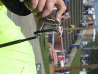 IMG_0221.jpg