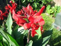 tn_Spring in April 009.JPG