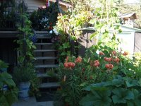 DSCF0533.JPGsmall.jpg
