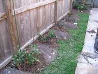 tn_East side of house 004.JPG